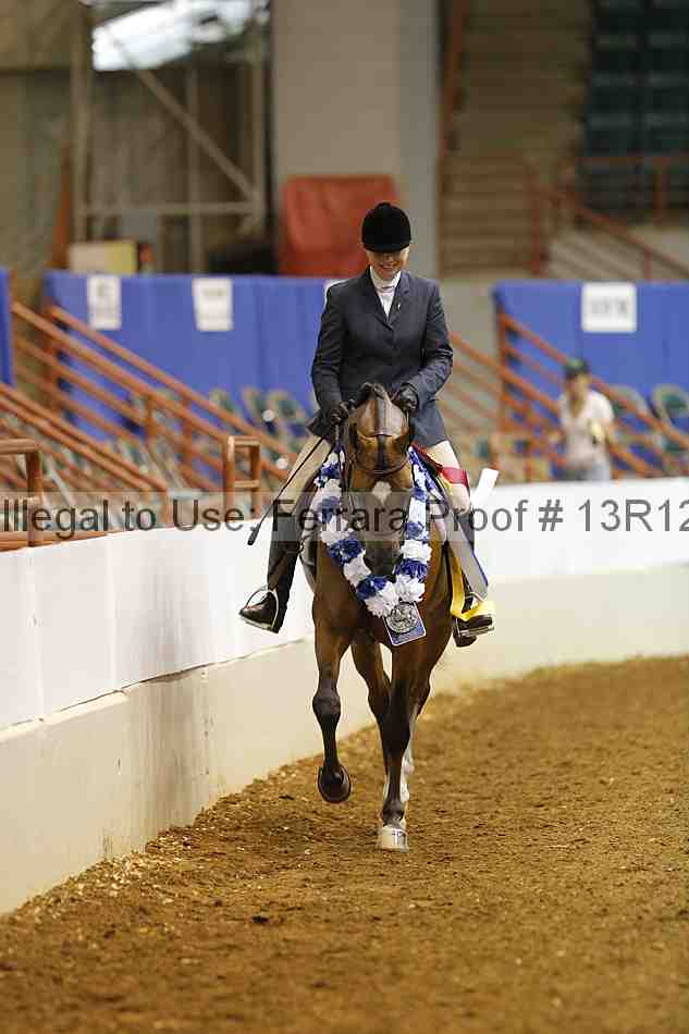 Proof Number 13r12_7553