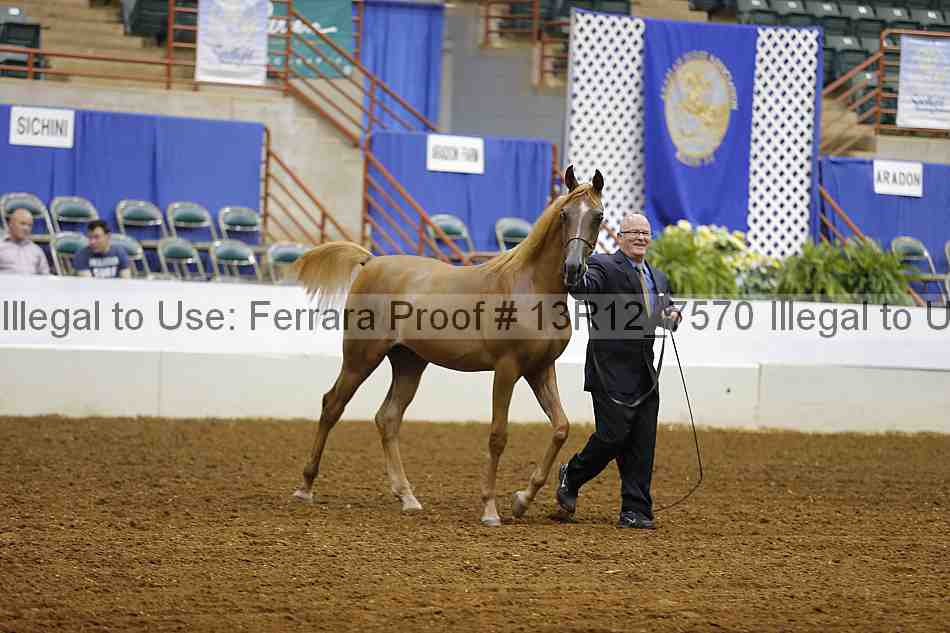 Proof Number 13r12_7570