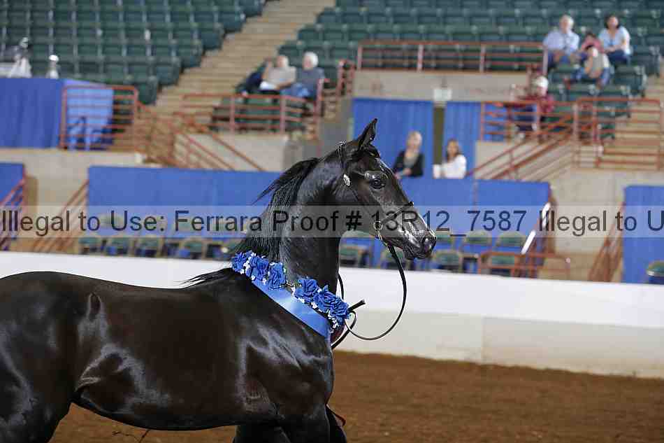 Proof Number 13r12_7587