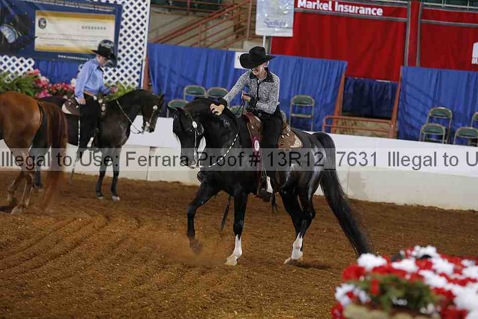 Proof Number 13r12_7631