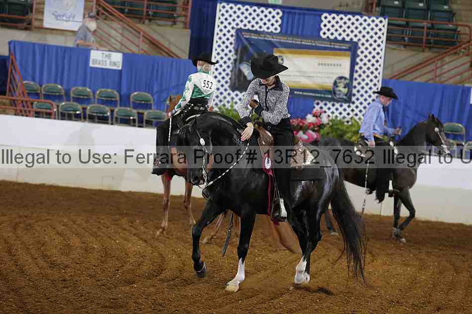 Proof Number 13r12_7632