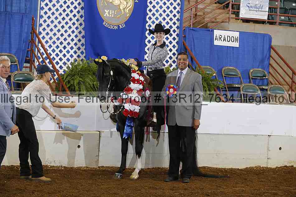 Proof Number 13r12_7634