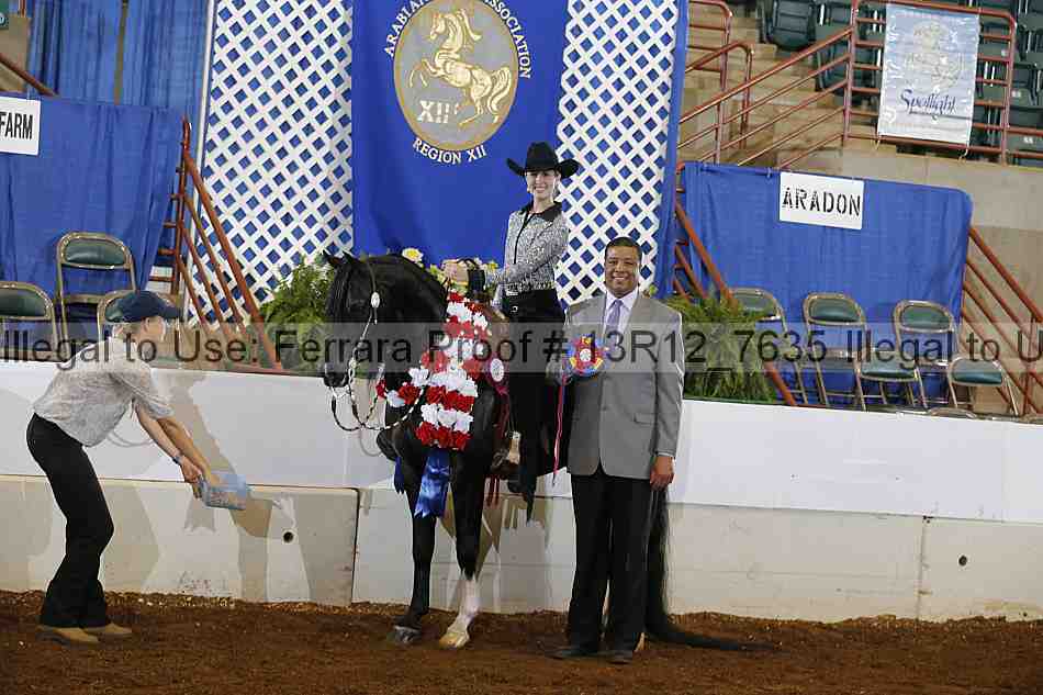 Proof Number 13r12_7635