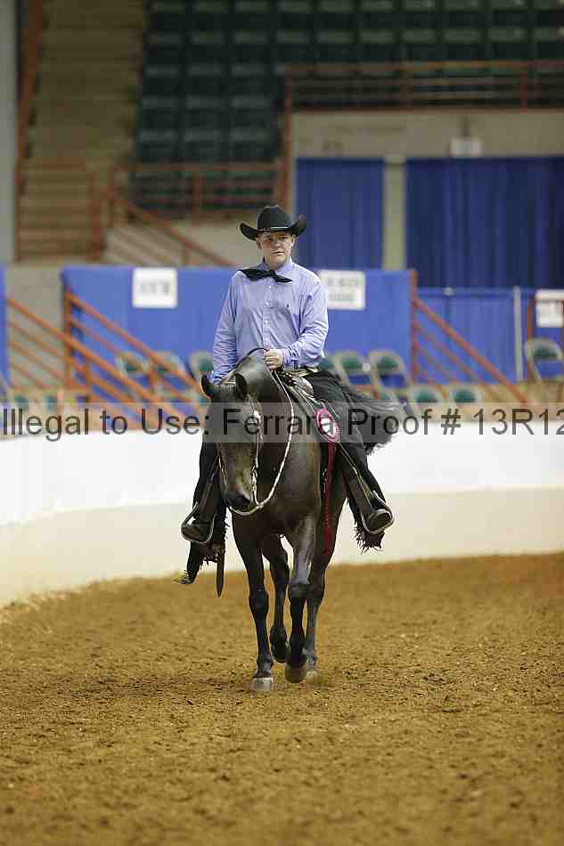 Proof Number 13r12_7639
