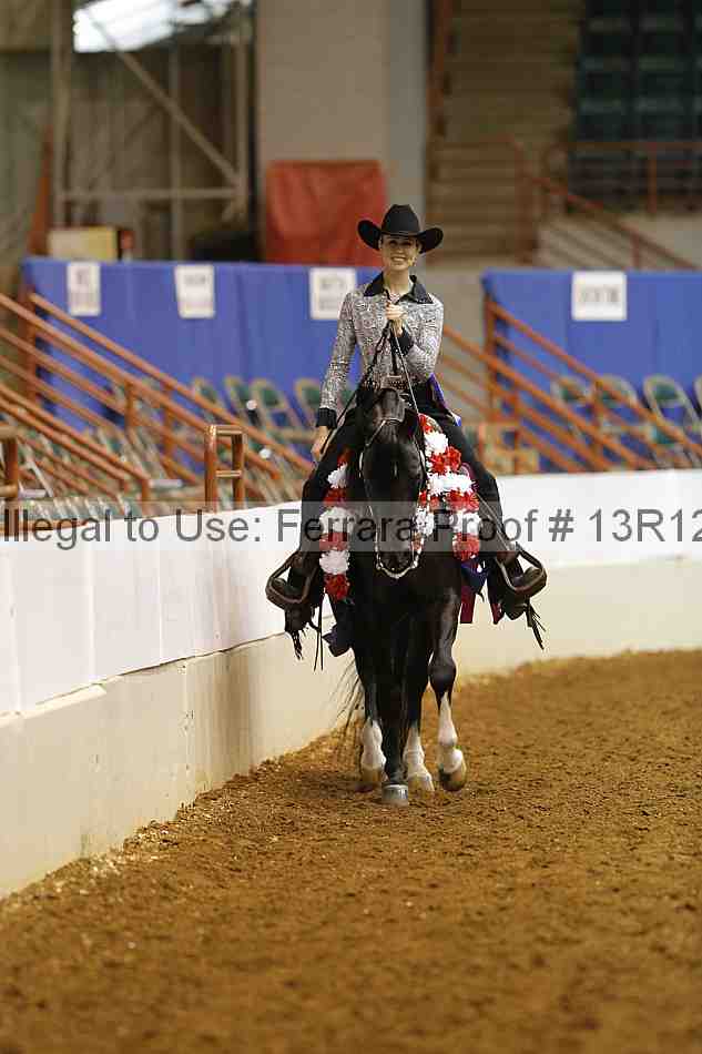 Proof Number 13r12_7663