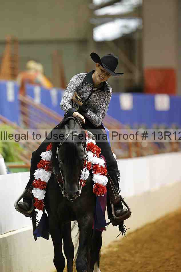 Proof Number 13r12_7667