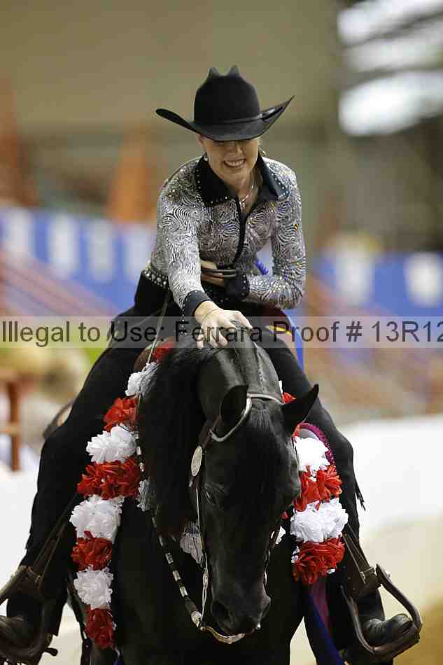 Proof Number 13r12_7668