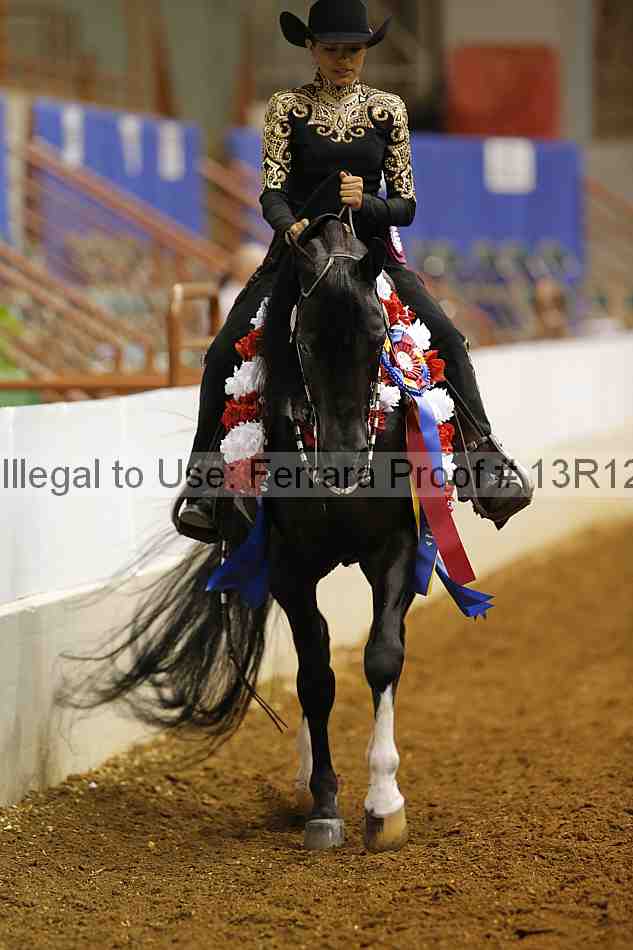 Proof Number 13r12_7736