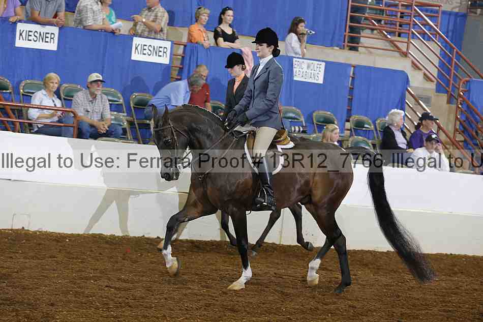 Proof Number 13r12_7766