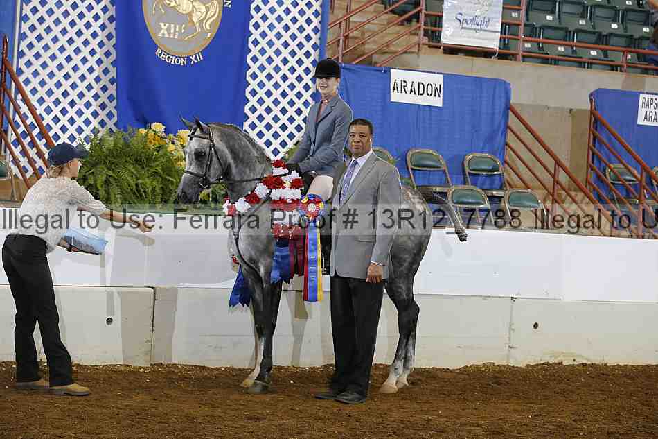 Proof Number 13r12_7788
