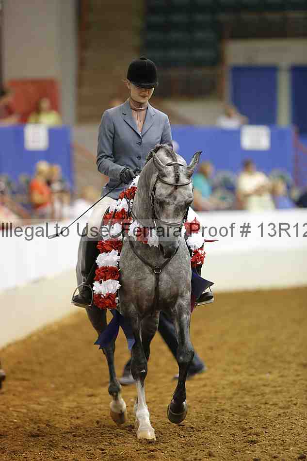 Proof Number 13r12_7790