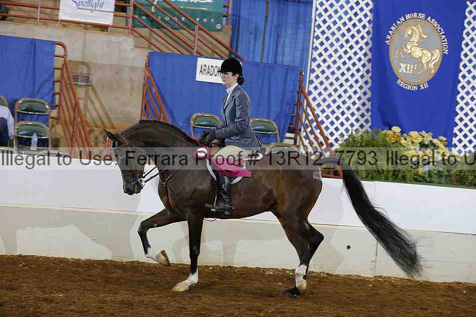 Proof Number 13r12_7793
