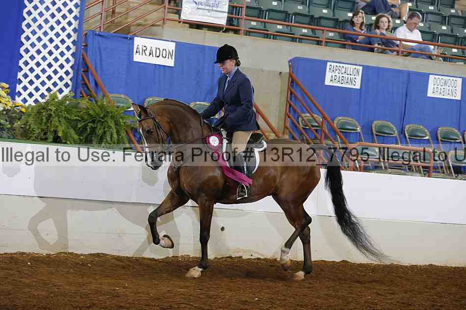 Proof Number 13r12_7795