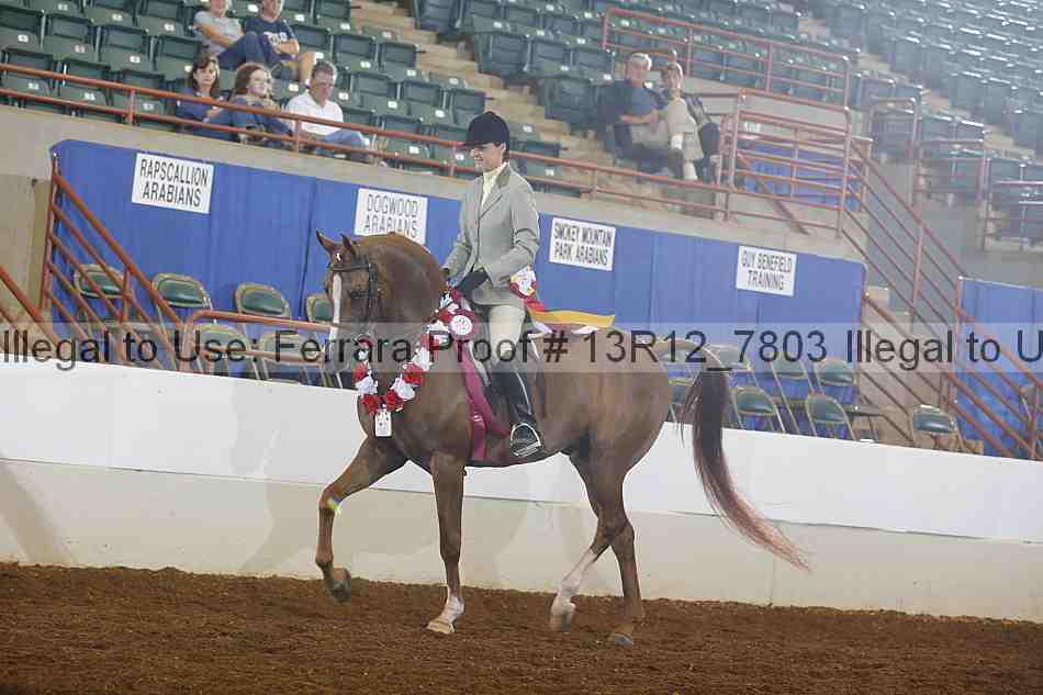 Proof Number 13r12_7803