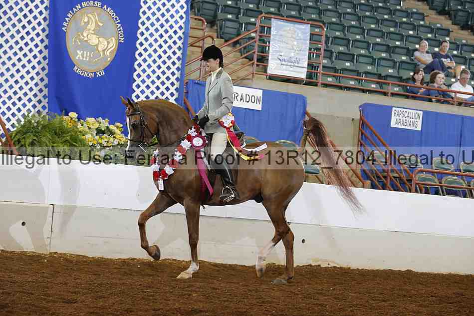 Proof Number 13r12_7804