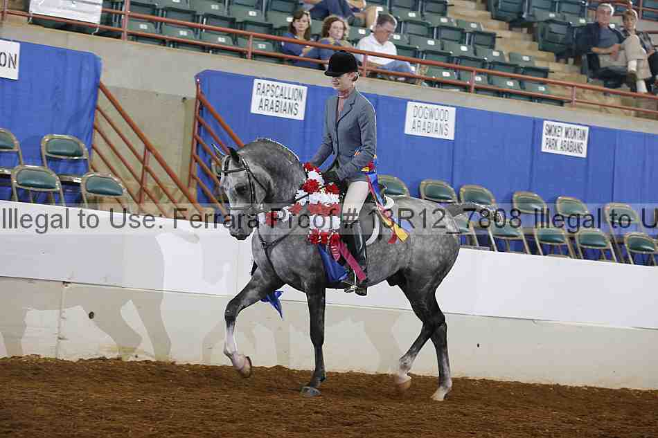 Proof Number 13r12_7808