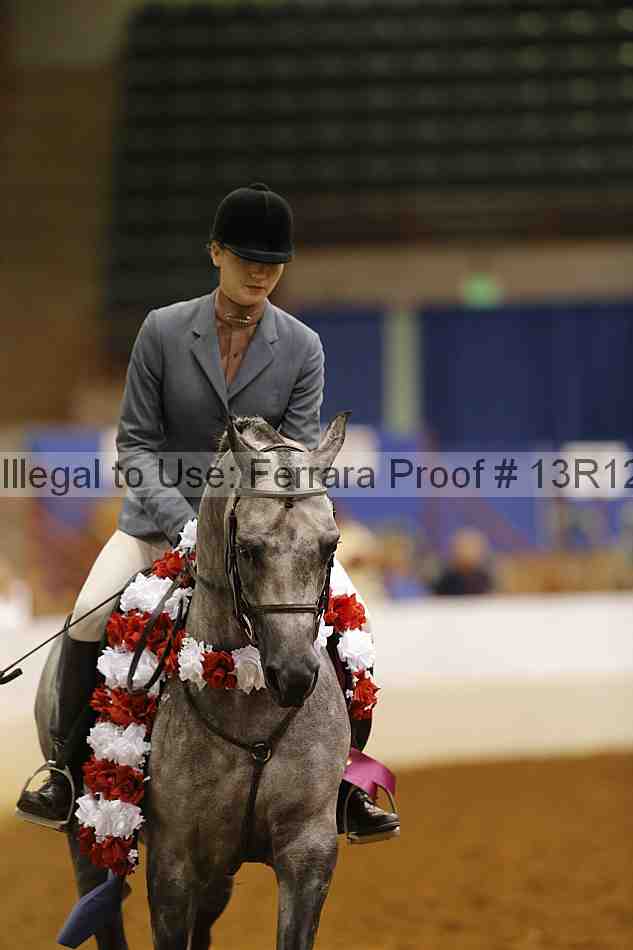 Proof Number 13r12_7811