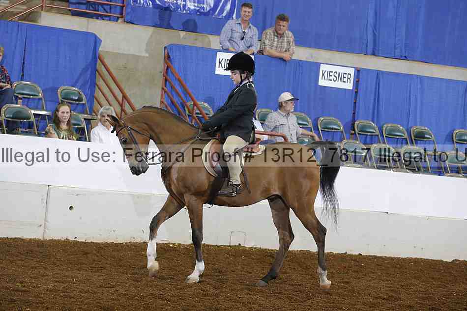 Proof Number 13r12_7817