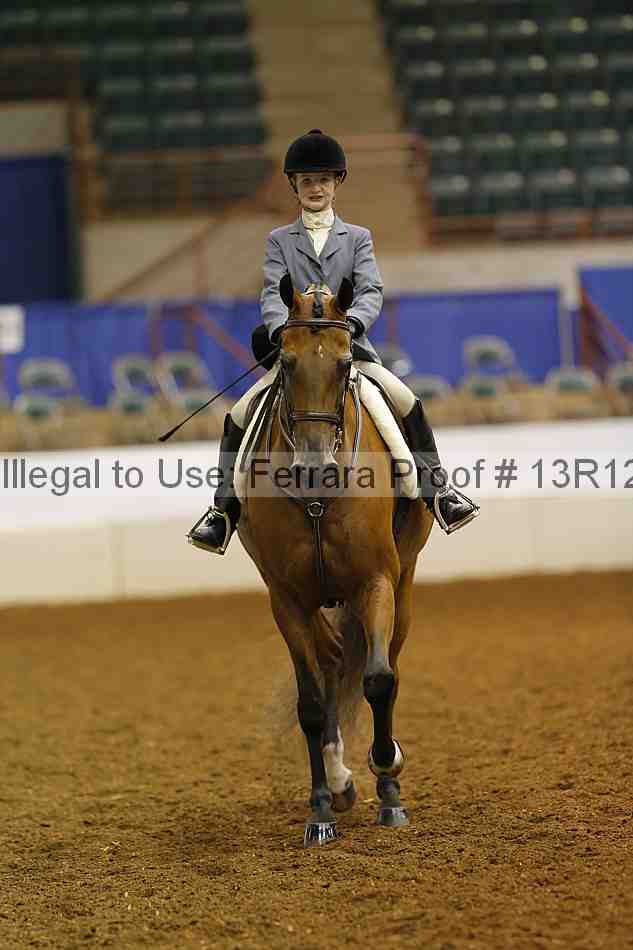 Proof Number 13r12_7829