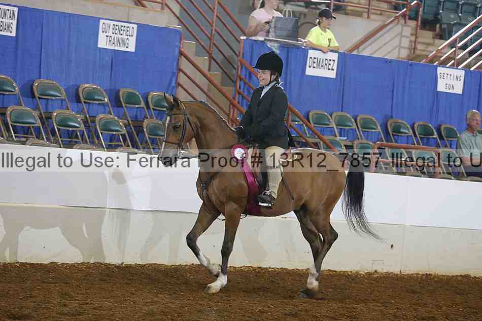 Proof Number 13r12_7857