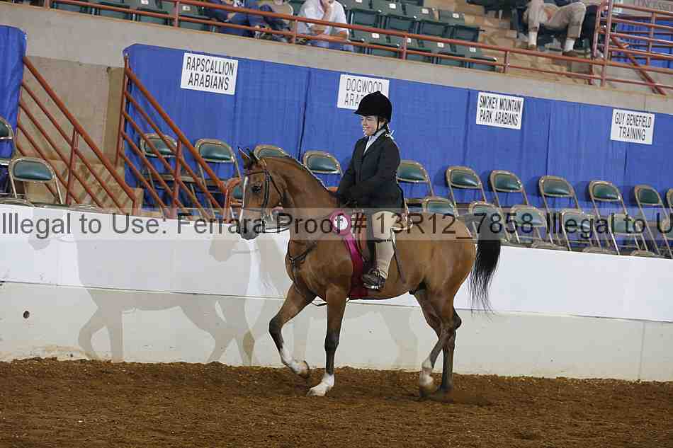 Proof Number 13r12_7858