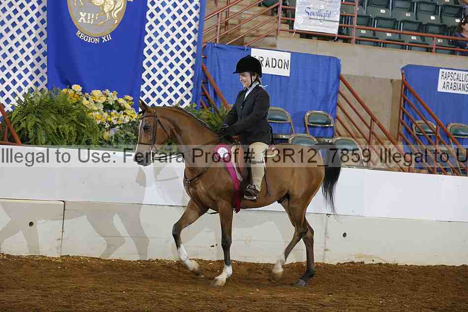 Proof Number 13r12_7859