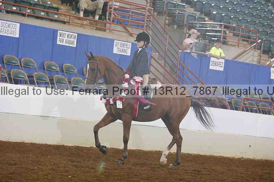 Proof Number 13r12_7867