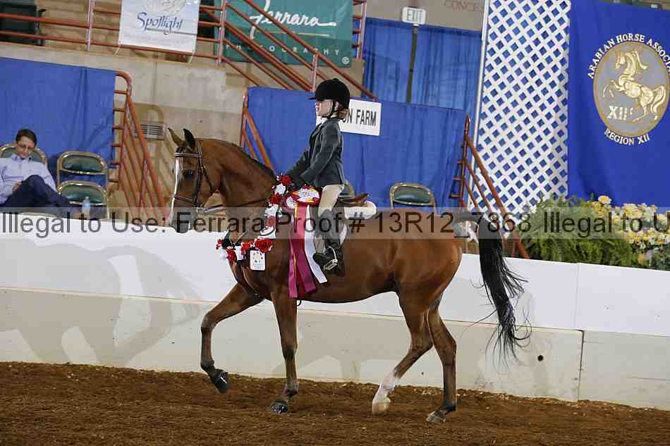 Proof Number 13r12_7868