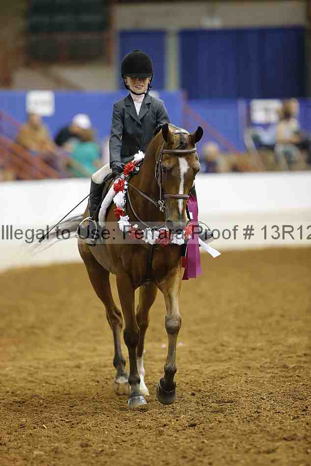 Proof Number 13r12_7871