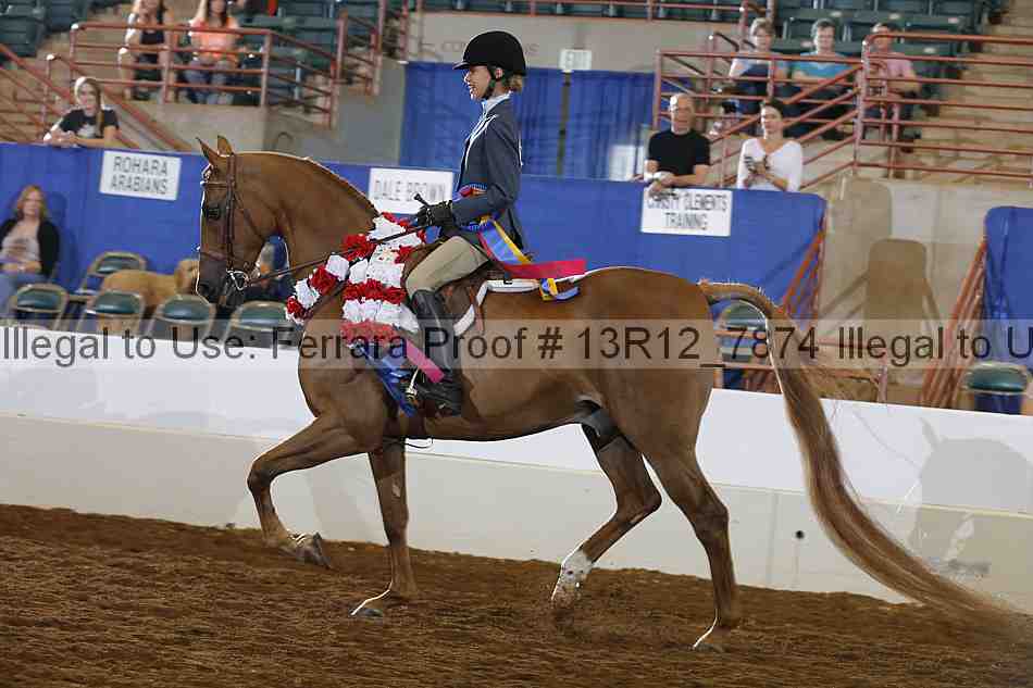 Proof Number 13r12_7874