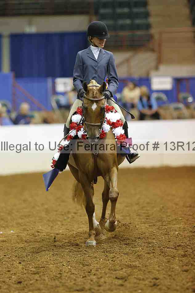 Proof Number 13r12_7876