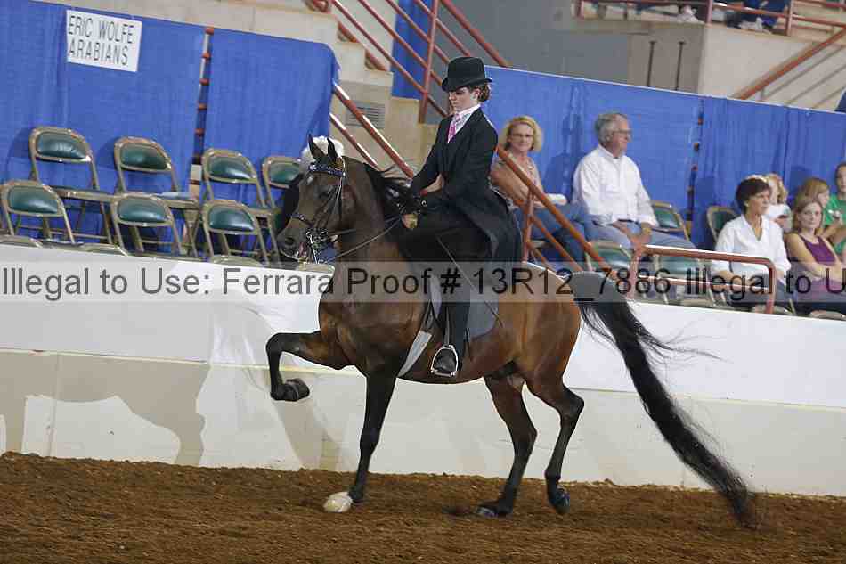 Proof Number 13r12_7886