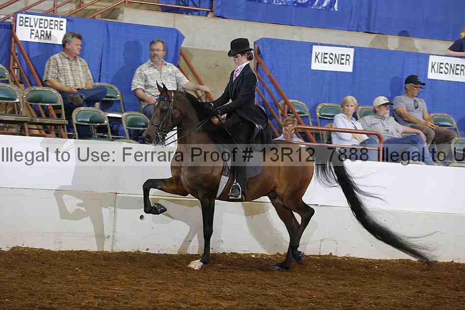 Proof Number 13r12_7888