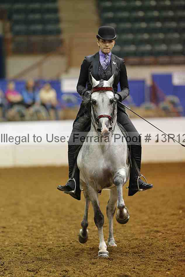 Proof Number 13r12_7889