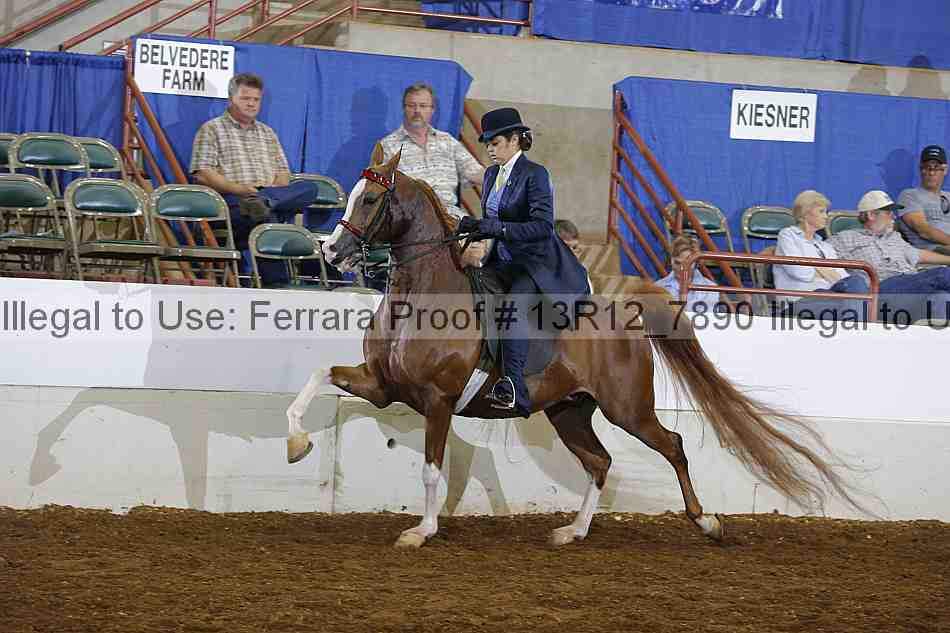 Proof Number 13r12_7890