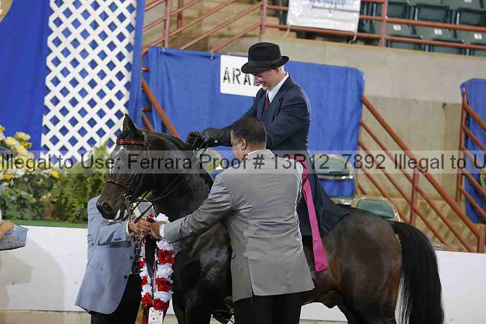 Proof Number 13r12_7892