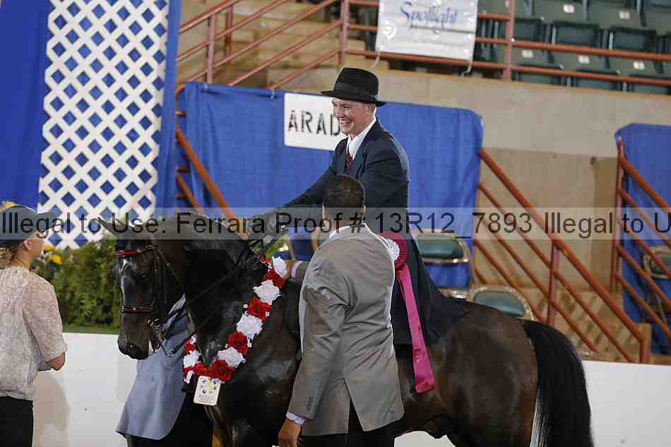 Proof Number 13r12_7893