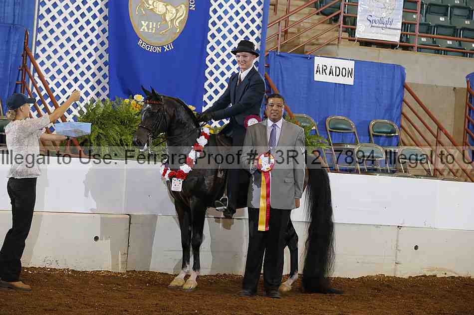Proof Number 13r12_7894