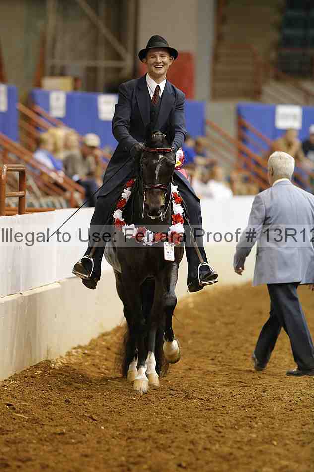 Proof Number 13r12_7896