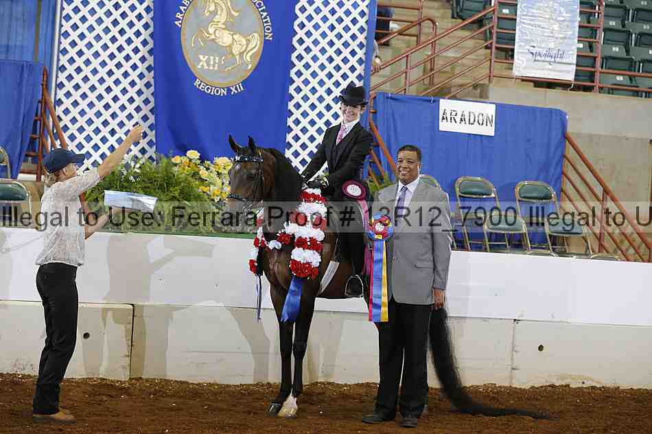 Proof Number 13r12_7900