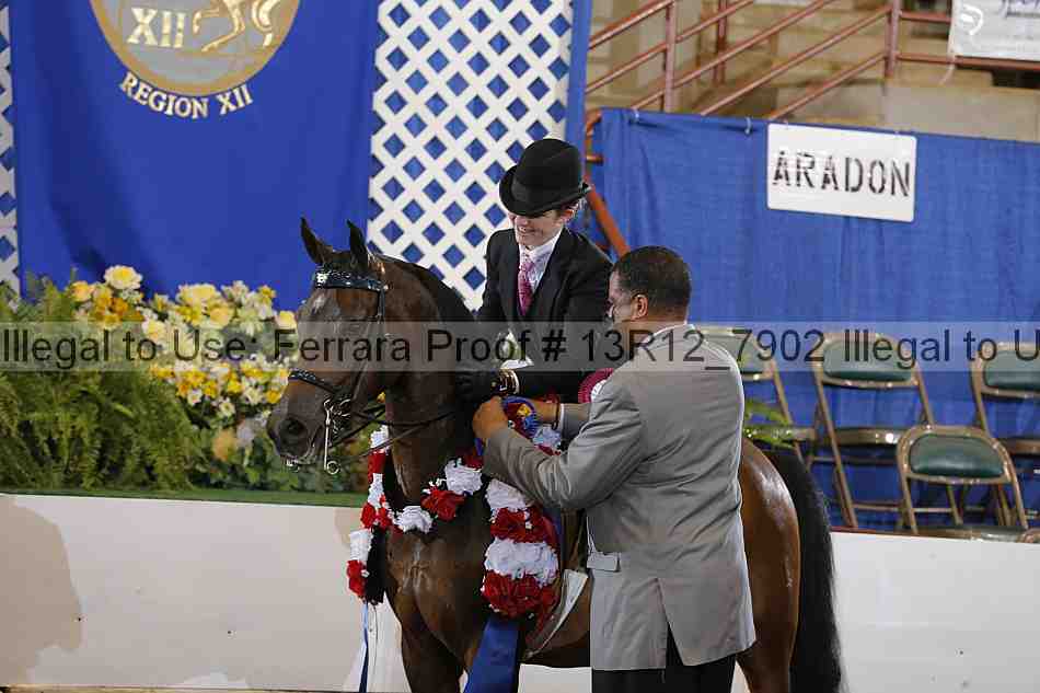 Proof Number 13r12_7902