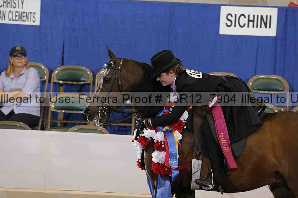 Proof Number 13r12_7904
