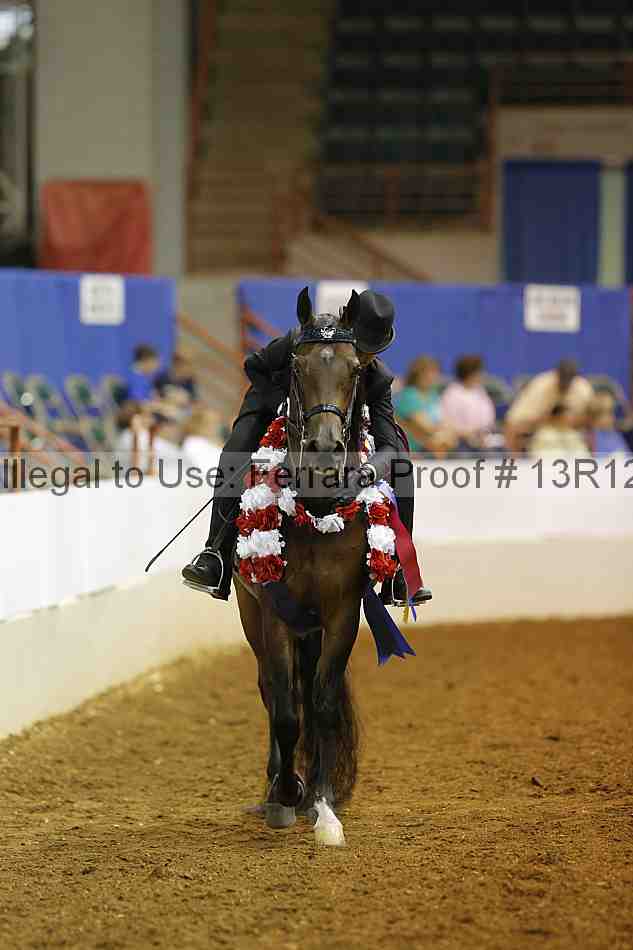 Proof Number 13r12_7905