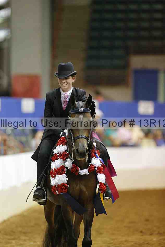 Proof Number 13r12_7909