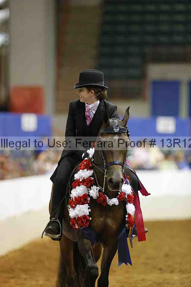 Proof Number 13r12_7910