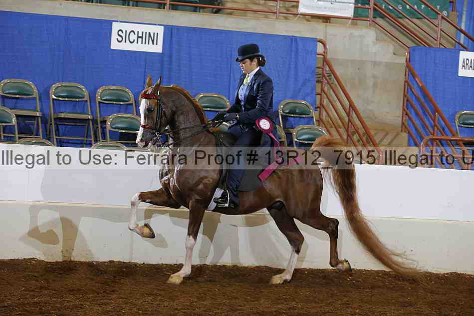 Proof Number 13r12_7915