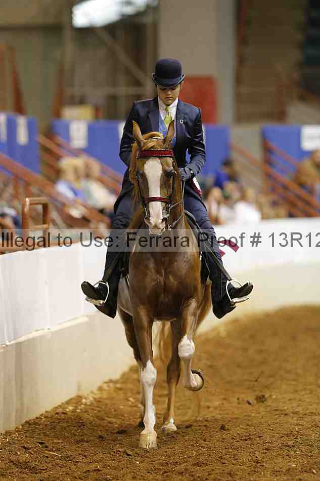 Proof Number 13r12_7917