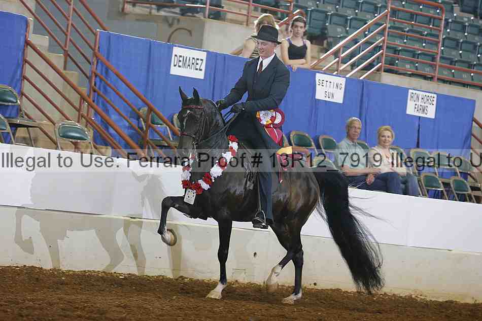 Proof Number 13r12_7919