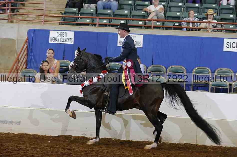Proof Number 13r12_7922