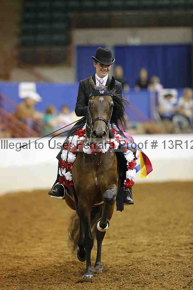 Proof Number 13r12_7929